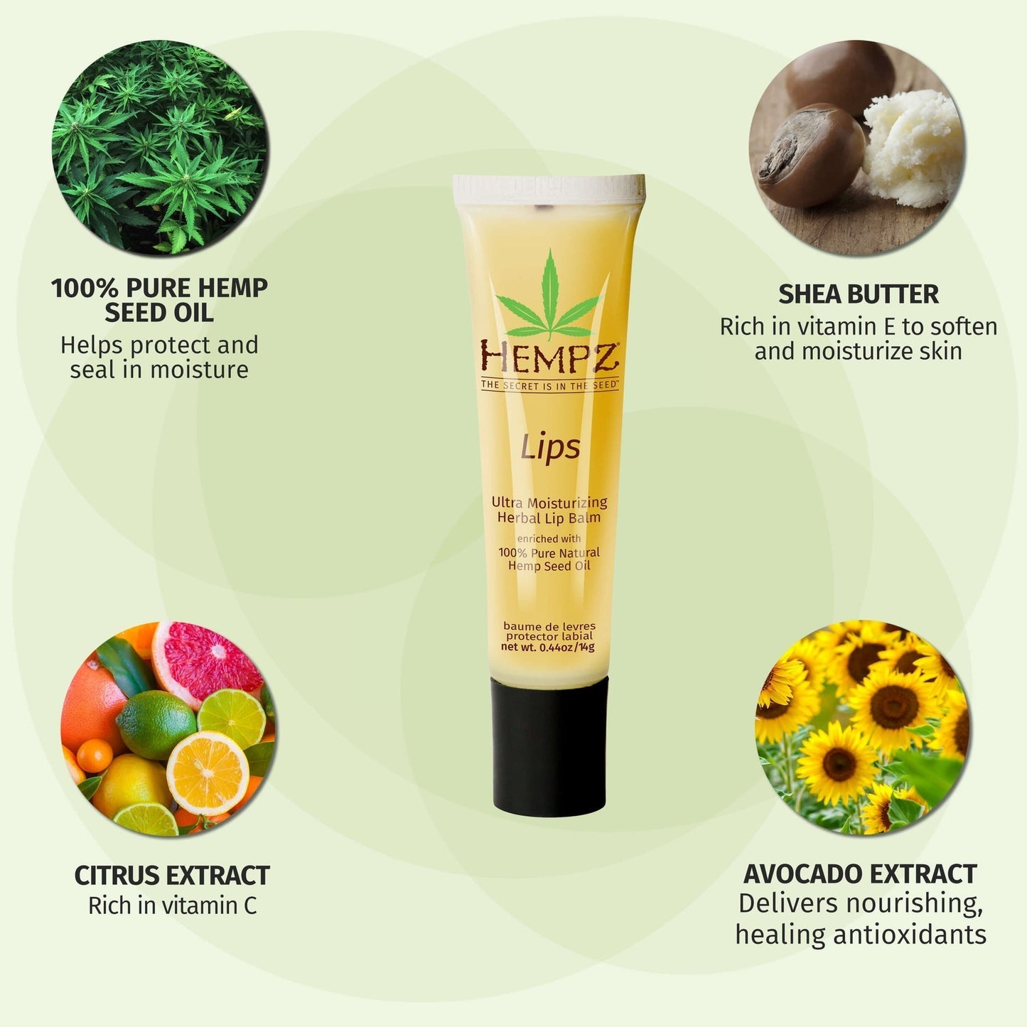 Hempz Daily Herbal Lip Balm