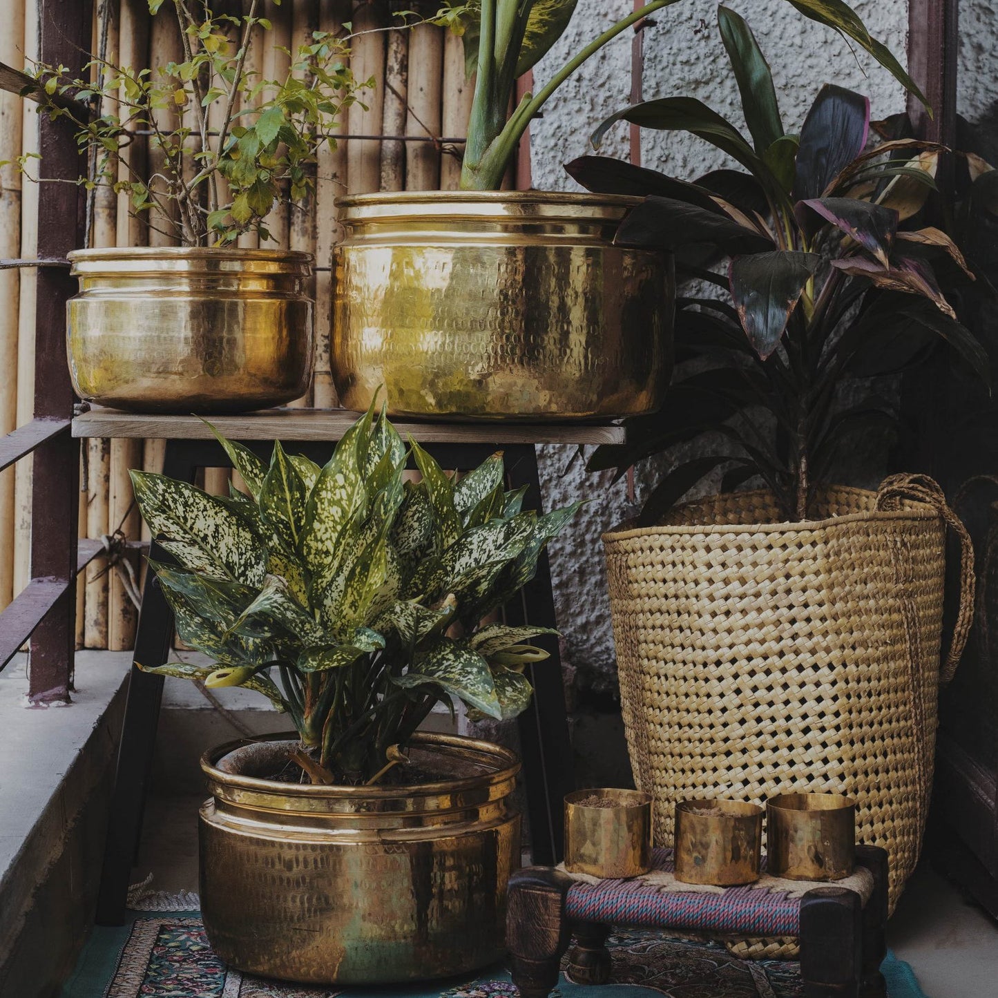 sama homes brass planters flower pot