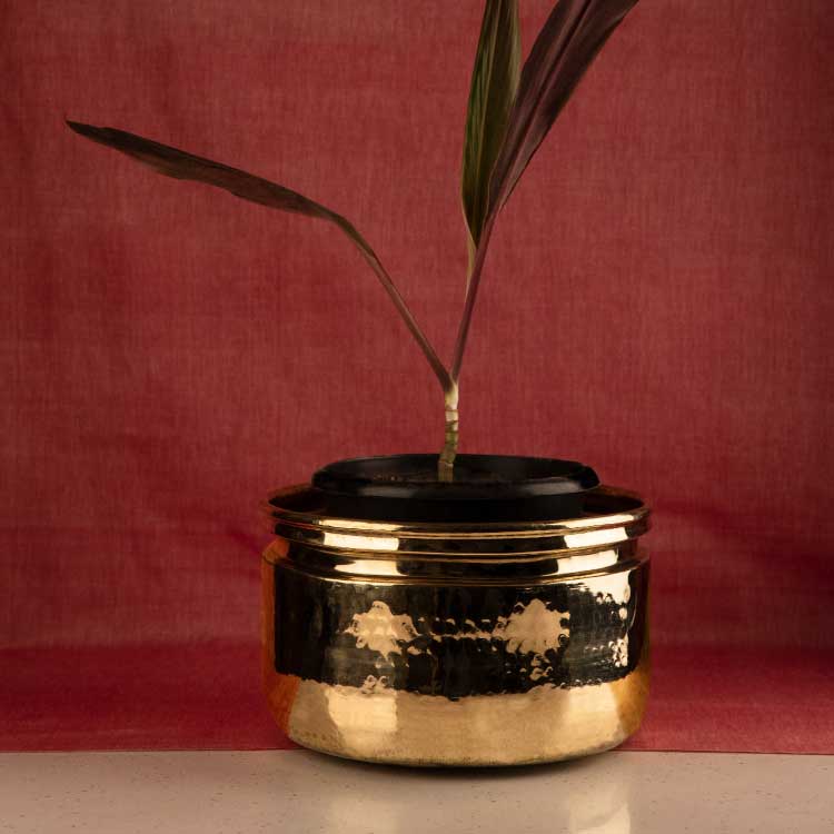 sama homes brass planters flower pot