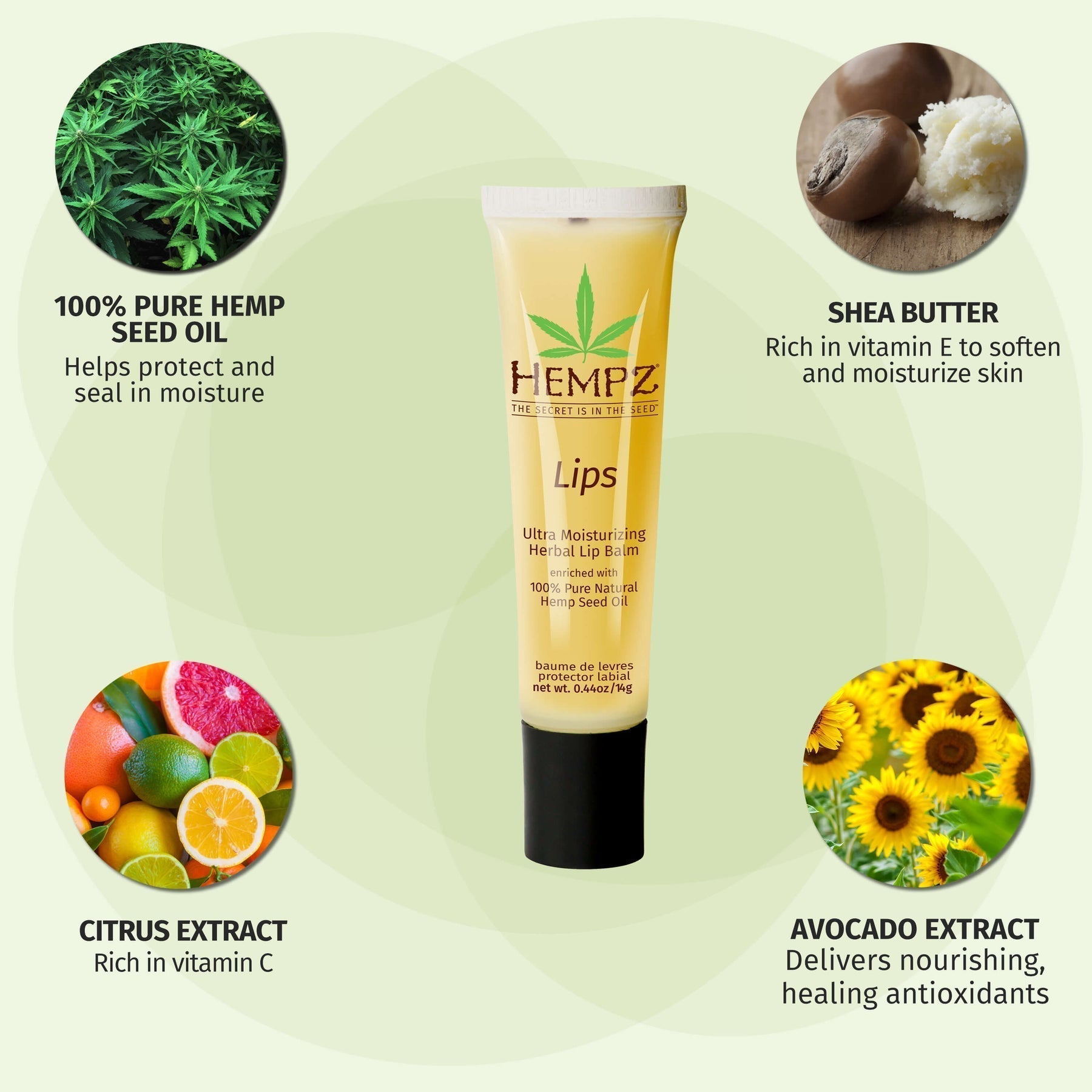 Hempz Daily Herbal Lip Balm - Image 4