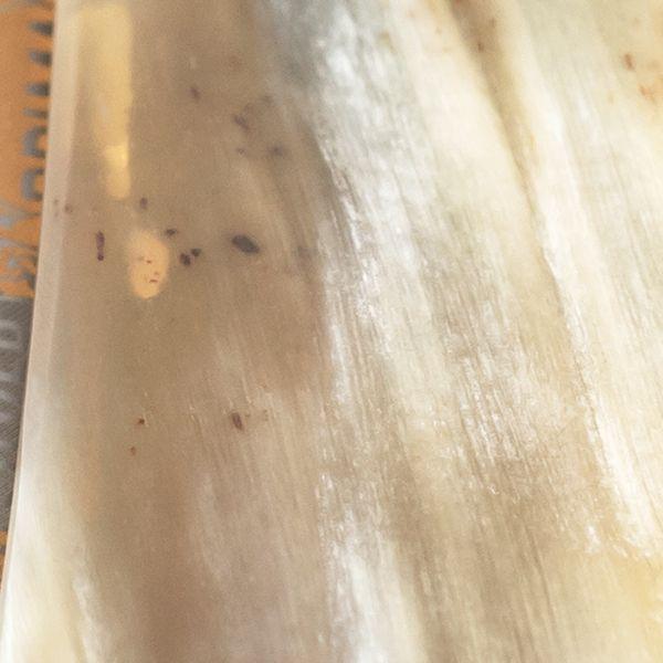 Dovo Straight Razor, Horn Prima, 5/8" - Image 4