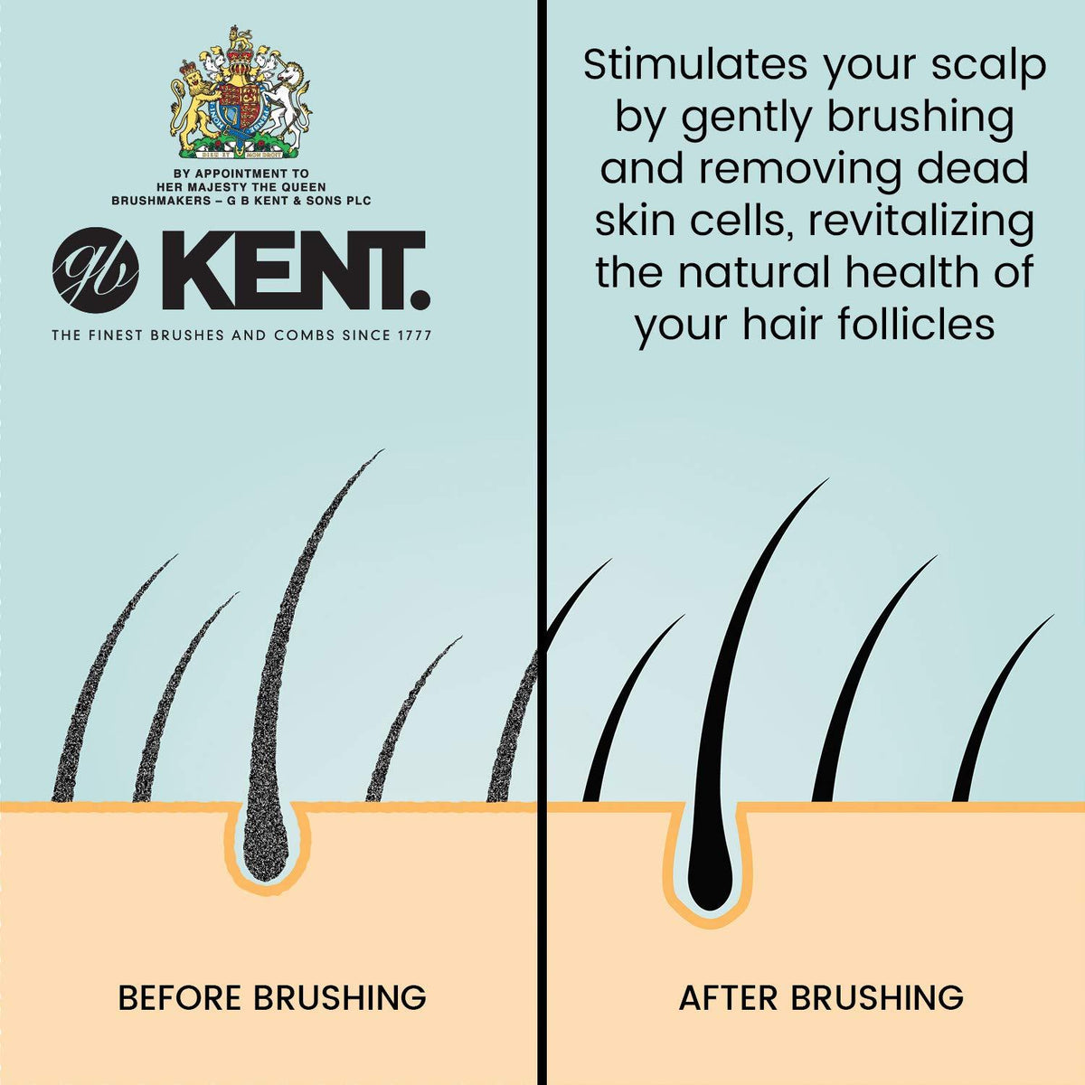 Kent Pebble Matt Black by Kent - Hair Brushes (View 4)