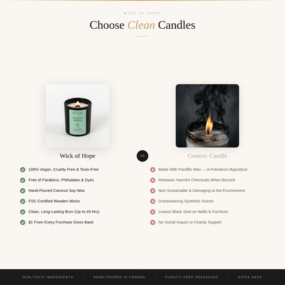 Secret Forest Walks Candle | Sandalwood + Musk by Wick of Hope - Full Size Candle (View 9)