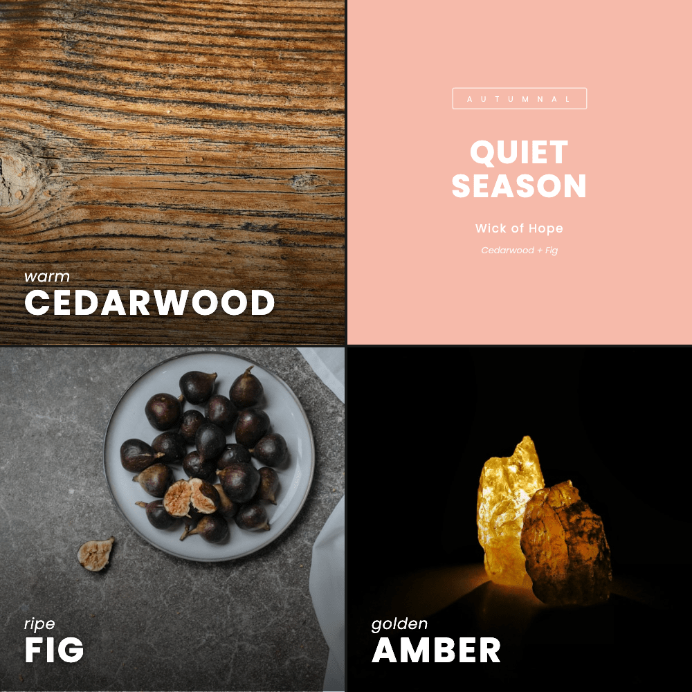 Quiet Season Candle | Cedarwood + Fig by Wick of Hope - Full Size Candle (View 7)